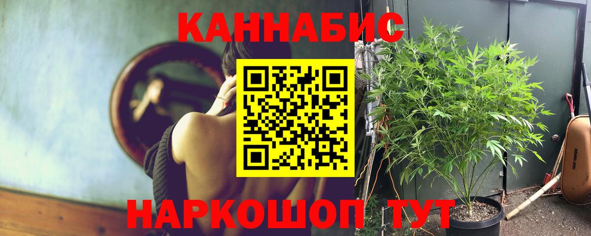 Реж  Каннабис LSD WEED  Бошки Шишки сатива  Вход с VPN  Каннабис Bruce Banner 